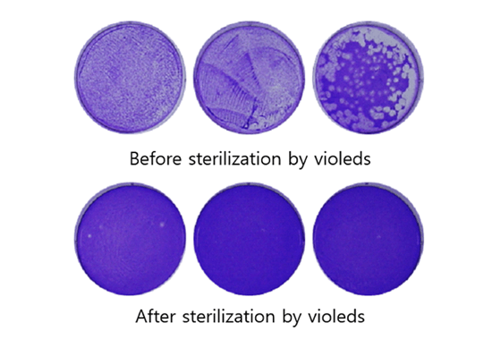 UV LED燈，能不能殺死冠狀病毒？